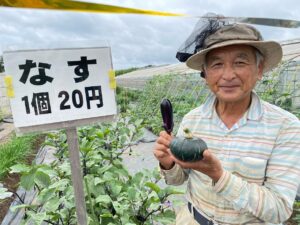 収穫体験が出来る野菜直売所